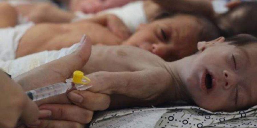 أكثر من 100 ألف طفل في غزة يواجهون خطر الموت الجماعي بسبب انعدام الحليب - بلس 48