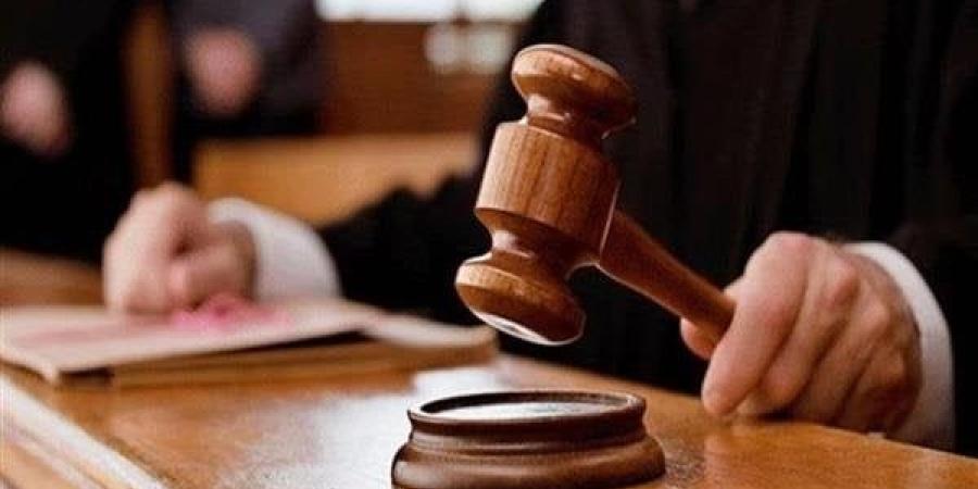 تأجيل محاكمة 222 متهما بقضية الهيكل الإداري لجلسة 16 أكتوبر - بلس 48