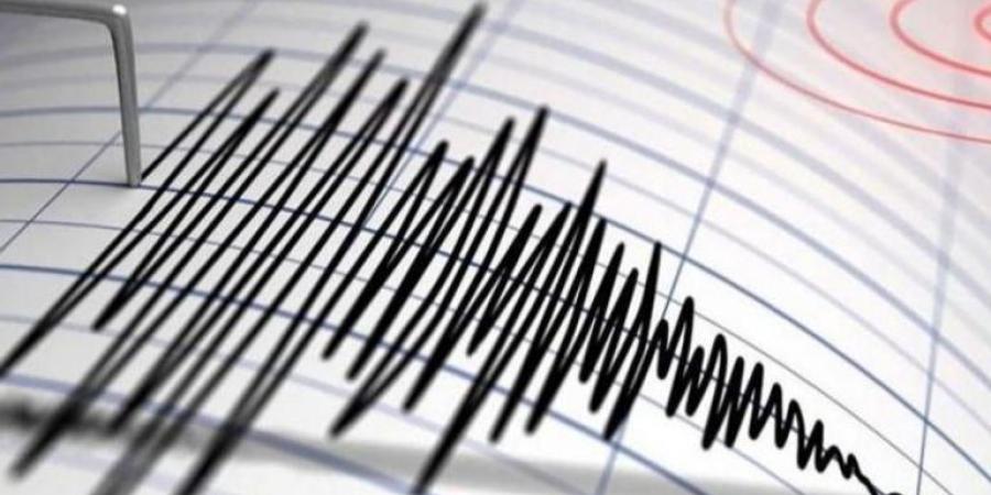 زلزال بقوة 5.9 درجة يضرب بابوا الغربية في إندونيسيا - بلس 48