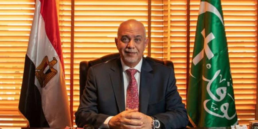 حازم الجندي: فيديوهات الإخوان المفبركة محاولة بائسة للنيل من استقرار مصر - بلس 48