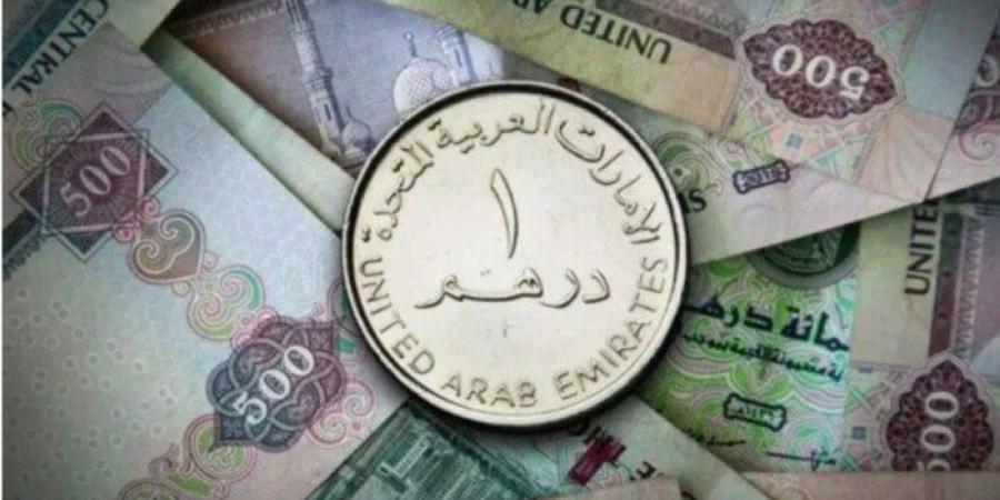 سعر الدرهم الإماراتي مقابل الجنيه اليوم السبت 26 يوليو 2025 - بلس 48