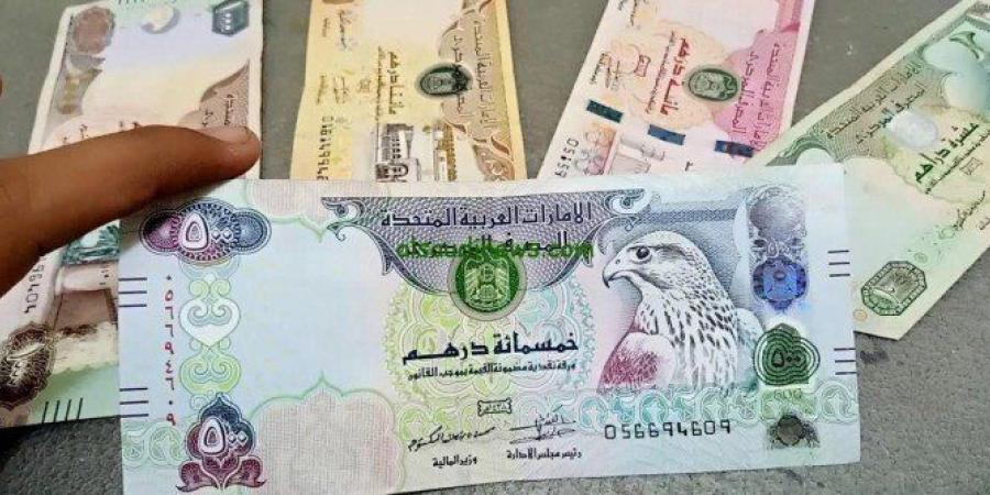 تعرف على سعر لدرهم الاماراتى فى البنوك المصرية والسوق المصرفى اليوم - بلس 48