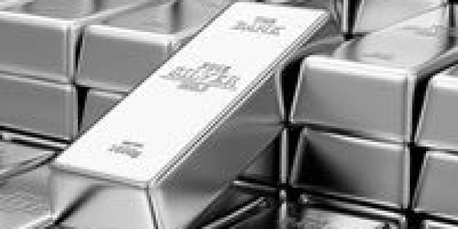شعبة الذهب والمعادن الثمينة تتأهب للنهوض بصناعة الفضة في مصر|التفاصيل - بلس 48