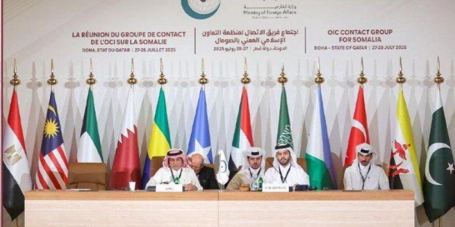 الدوحة تستضيف اجتماع فريق الاتصال لمنظمة التعاون الإسلامي المعني بالصومال - بلس 48