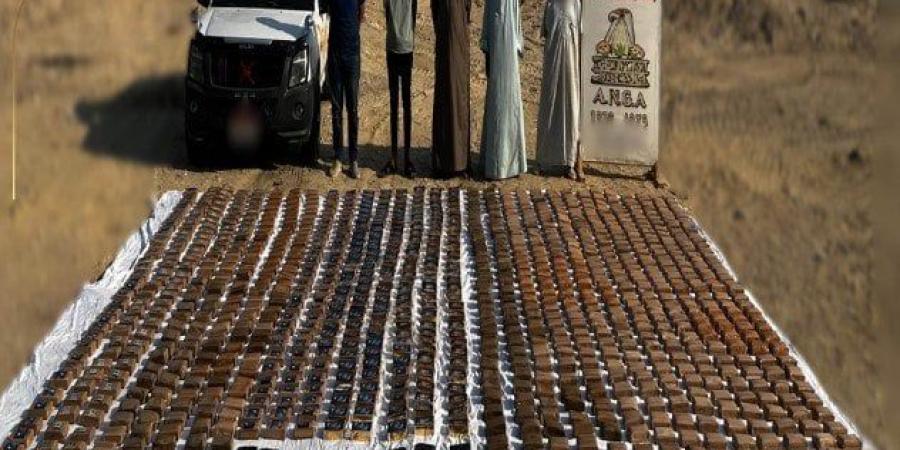 الداخلية تضبط شحنة حشيش بقيمة 100 مليون جنيه - بلس 48