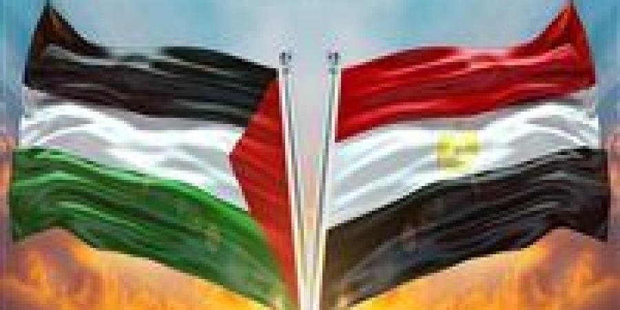 رئيس مصر أكتوبر لتحيا مصر: من يدّعي دعم فلسطين عبر التجمهر ضد سفارات بلده لا يخدم القضية بل يشوهها ويخدم خصومها - بلس 48