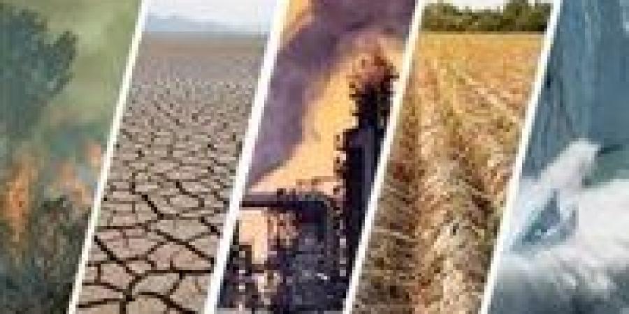 مواجهة التحديات البيئية في مصر والعالم|استراتيجيات وحلول - بلس 48