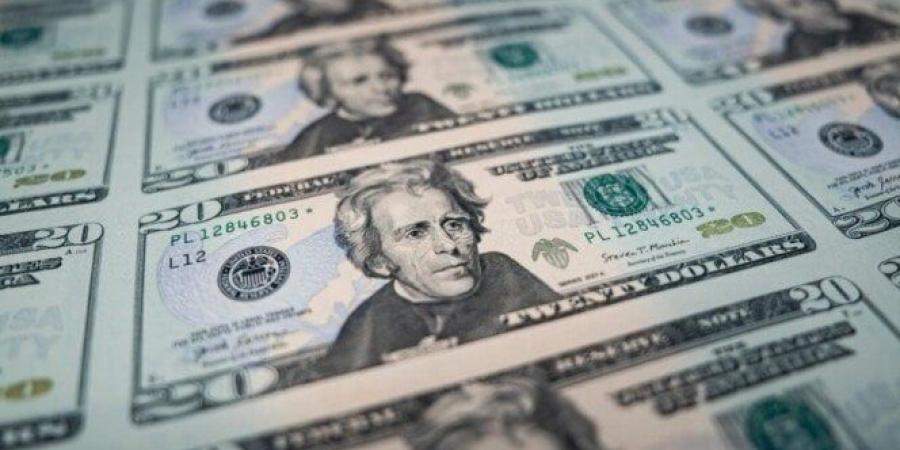 سعر الدولار في البنك المركزي يسجل أدنى مستوى له منذ أكتوبر 2024 - بلس 48