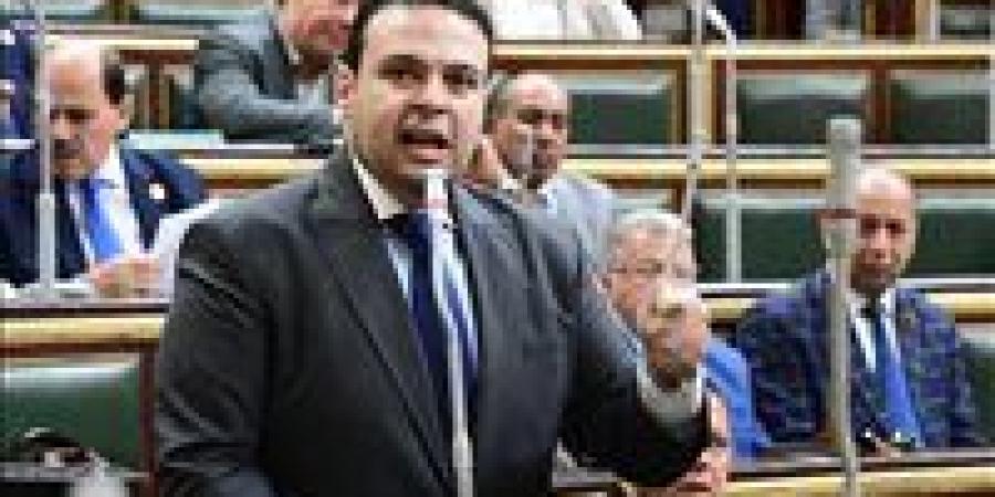 عبد المنعم إمام عن كلمة السيسي حول الأوضاع في غزة: موقف مصر شريف قيادة وشعبا - بلس 48