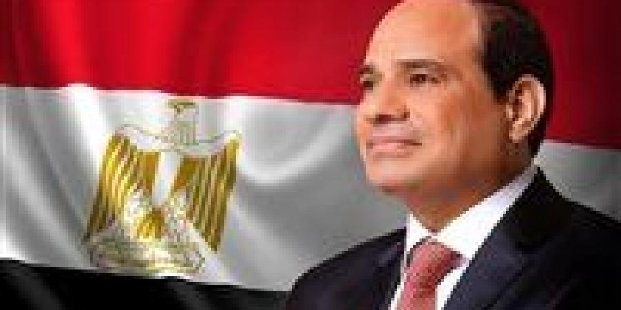 الرئيس السيسي: ملتزمون بإيقاف الحرب في غزة ورفض التهجير والحل في إقامة الدولة الفلسطينية - بلس 48