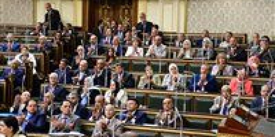 الحبس والغرامة.. عقوبات رادعة حال إهانة مقدمي الخدمة الطبية - بلس 48
