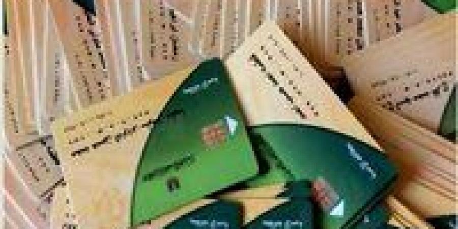 من هم الفئات المستحقة حاليًا لإضافة المواليد؟ - بلس 48