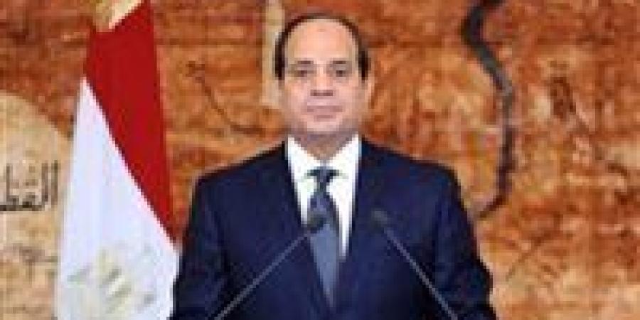 السيسي: لم نمنع دخول المساعدات إلى غزة.. وموقفنا ثابت في رفض تهجير الفلسطينيين - بلس 48