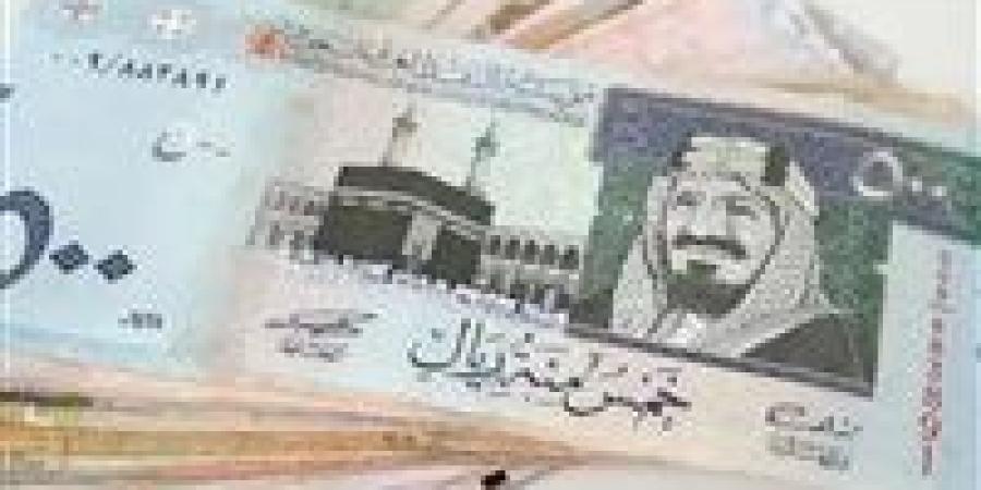 الريال السعودي مقابل الجنيه.. تغييرات جديدة في السعر اليوم - بلس 48