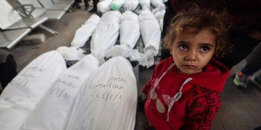 صحة غزة: استشهاد 18.592 طفلا و9.782 امرأة منذ بدء عدوان الاحتلال - بلس 48