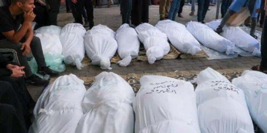 ارتفاع حصيلة الشهداء في غزة إلى 59 ألفا و921 والإصابات إلى 145 ألفا و233 منذ بدء العدوان - بلس 48