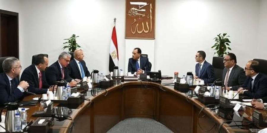الحكومة: لدينا خطة متكاملة لتوطين صناعة السيارات الكهربائية في مصر - بلس 48