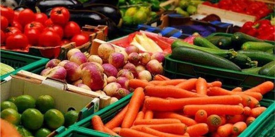 أسعار الخضروات والفاكهة اليوم الثلاثاء 29 يوليو 2025 - بلس 48
