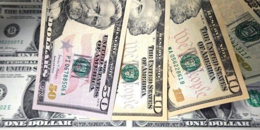 سعر الدولار مقابل الجنيه اليوم الثلاثاء 29 يوليو.. تحديث لحظي - بلس 48