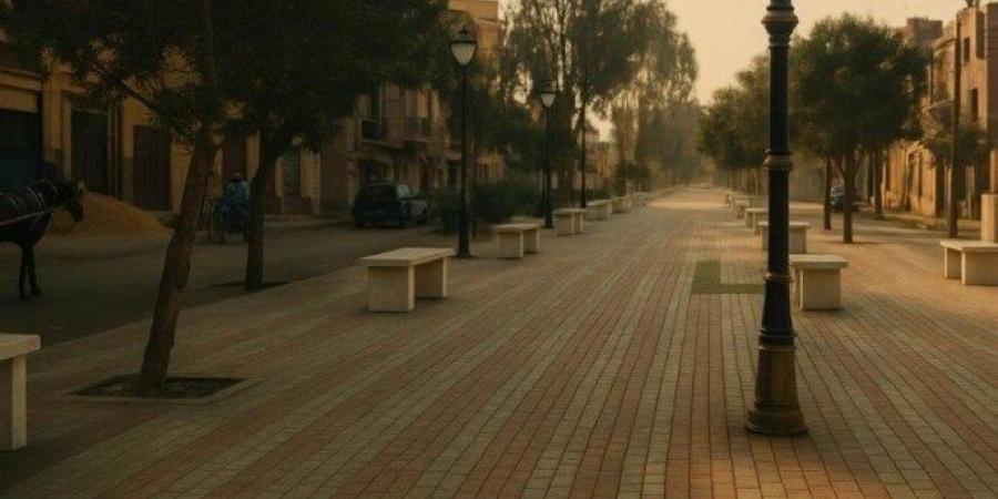 تنفيذ مشروعات باعتمادات 890 مليون جنيه في بني سويف - بلس 48
