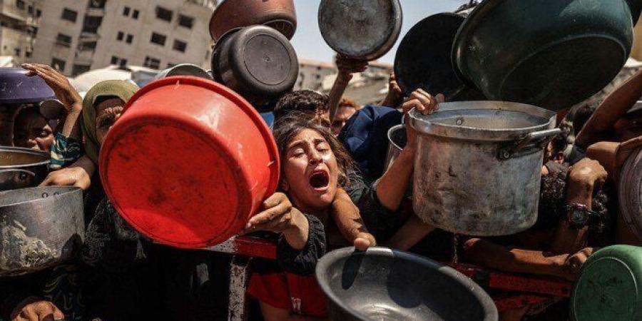 "هيومن رايتس ووتش": نظام المساعدات الإسرائيلي في غزة تحوّل إلى مصيدة للموت - بلس 48