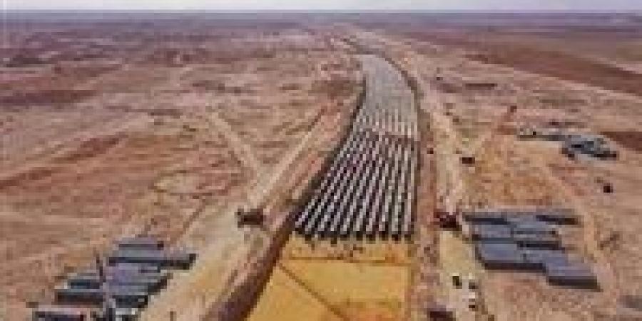 مشروع الدلتا الجديدة...مستقبل الزراعة والتنمية في مصر - بلس 48