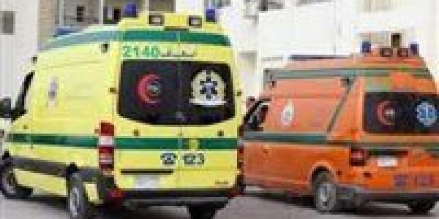 مصرع عروسة ووالدتها وإصابة خطيبها في حادث تصادم مأساوي على طريق الحامول بكفرالشيخ - بلس 48