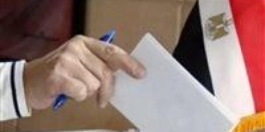 انتخابات مجلس الشيوخ 2025.. لجان الاقتراع في الصين تغلق أبوابها بنهاية اليوم الثاني من التصويت - بلس 48