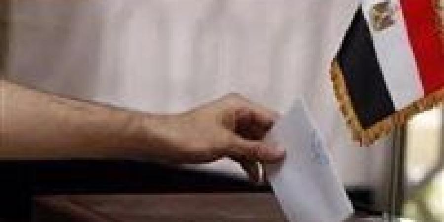 انتخابات مجلس الشيوخ 2025.. لجان الاقتراع في نيوزيلاندا تغلق أبوابها بنهاية اليوم الثاني من التصويت - بلس 48