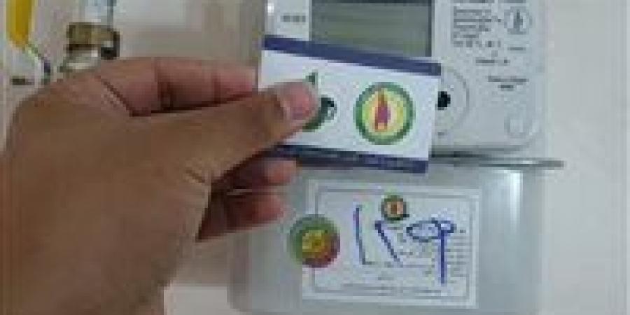 13 وسيلة لتسجيل قراءة الغاز و10 طرق للدفع.. بتروتريد تبدأ استقبال قراءات أغسطس - بلس 48