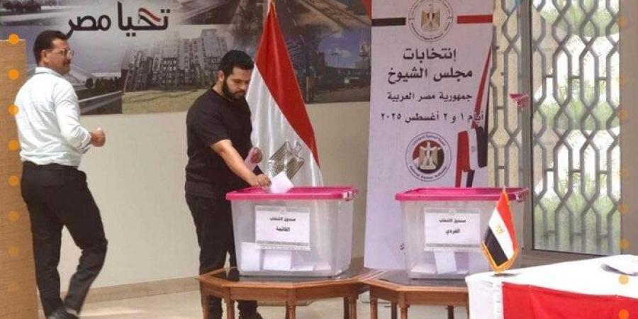 رئيس اتحاد شباب الجاليات في كندا: انتخابات المصريين بالخارج نموذج مشرف للمشاركة الديمقراطية - بلس 48