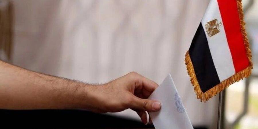 انتخابات الشيوخ 2025.. طريقة الاستعلام عن لجنتك الانتخابية بالرقم القومي - بلس 48