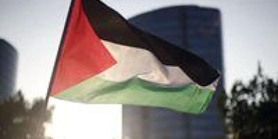 «إسرائيل في مأزق دولي».. نواب أميركيين يطالبون ترامب الاعتراف بدولة فلسطين - بلس 48