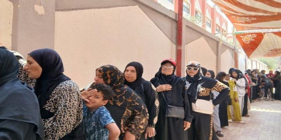 إقبال كثيف من السيدات بانتخابات الشيوخ في الشهداء بالمنوفية - بلس 48