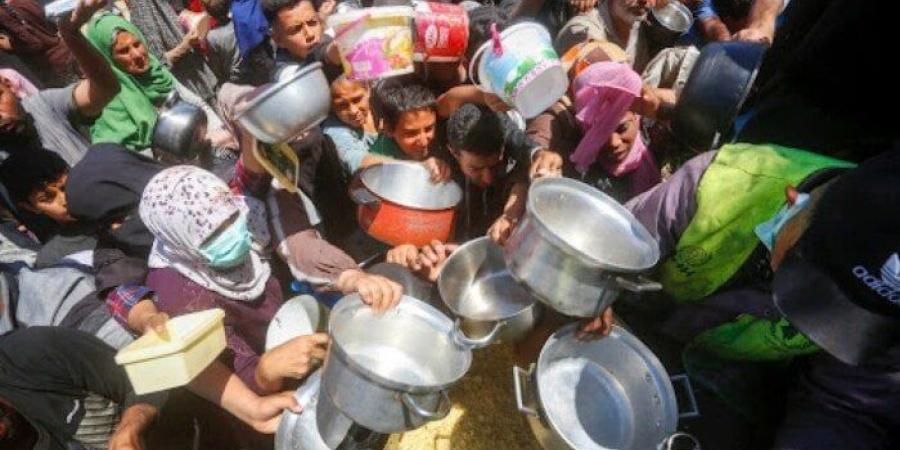 مدير الإغاثة الطبية بغزة: ترامب قادر على الضغط لإدخال المساعدات وسط معوقات الاحتلال - بلس 48