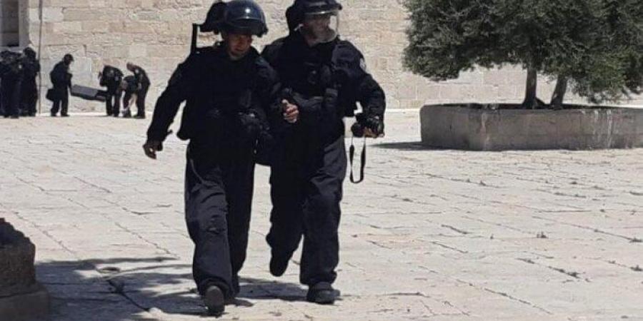 الاحتلال يعتدي على صحفيين ويتسبب في اندلاع حريق شمال القدس - بلس 48