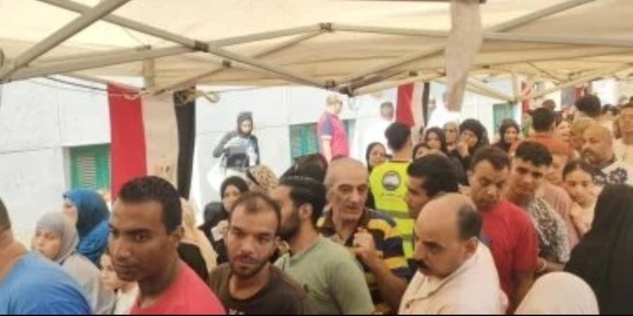 عضو الهيئة الوطنية فى جولة تفقدية مع مراقبين دوليين لمتابعة سير الانتخابات - بلس 48