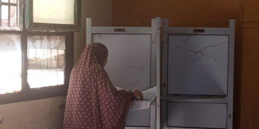 انتخابات الشيوخ 2025.. انتظام أعمال التصويت في لجان المقطم دون شكاوي - بلس 48