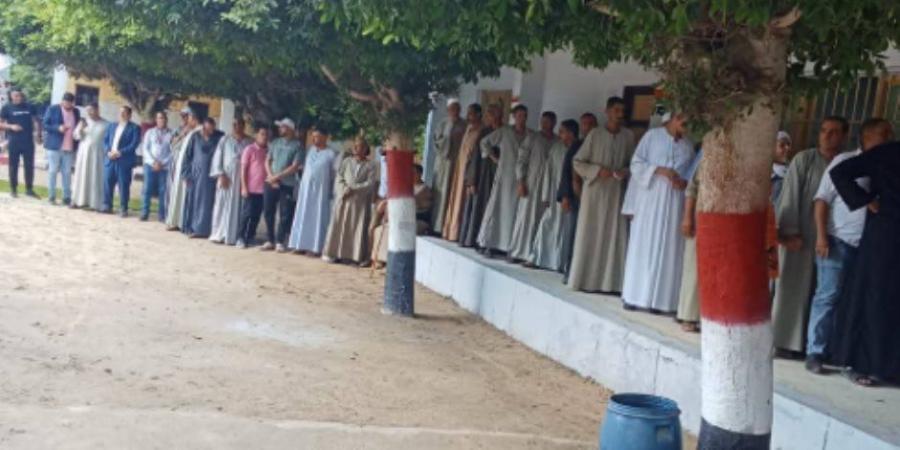 زفة بالطبل البلدي للناخبين بلجان الهرم فى الساعات الأخير من أول أيام التصويت.. فيديو - بلس 48