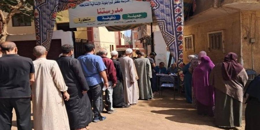 أشعة على الفقرات.. تفاصيل الحالة الصحية لمستشارة سقطت عليها مروحة في لجنة انتخابات بالمنوفية - بلس 48