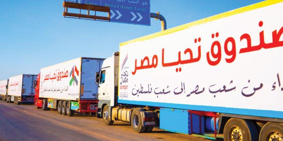 «رئيس دائرة شئون القدس» يشيد بجهود مصر لوقف إطلاق النار بغزة وإدخال المساعدات - بلس 48