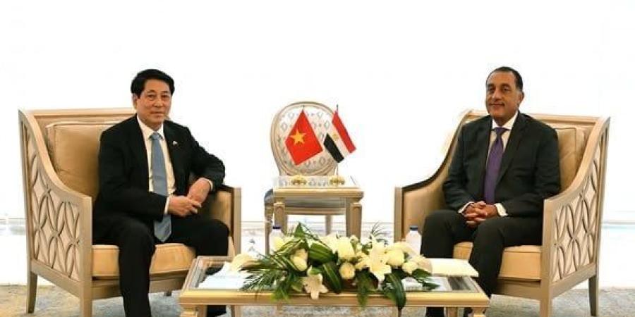 رئيس الوزراء يبحث مع رئيس جمهورية فيتنام إنشاء مجلس أعمال مشترك - بلس 48