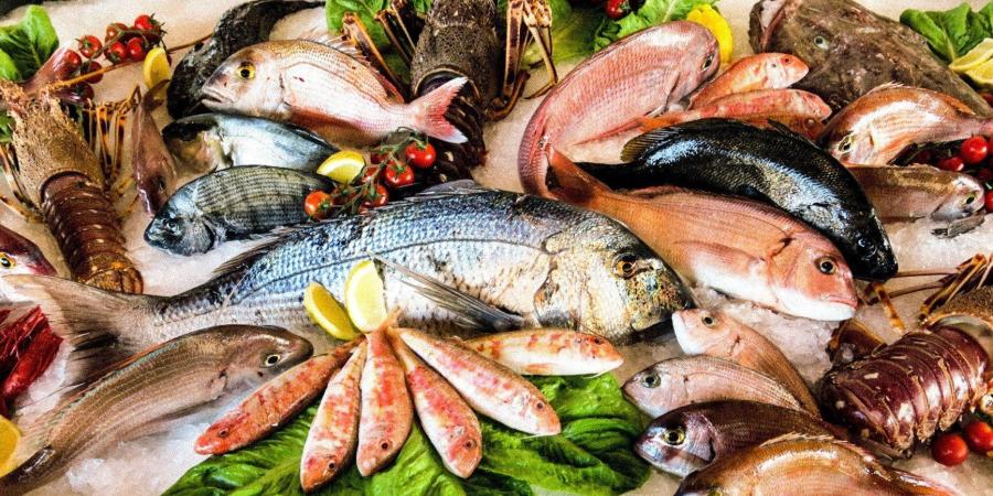 البلطي بكام؟.. أسعار الأسماك والجمبري اليوم الثلاثاء 5 أغسطس - بلس 48