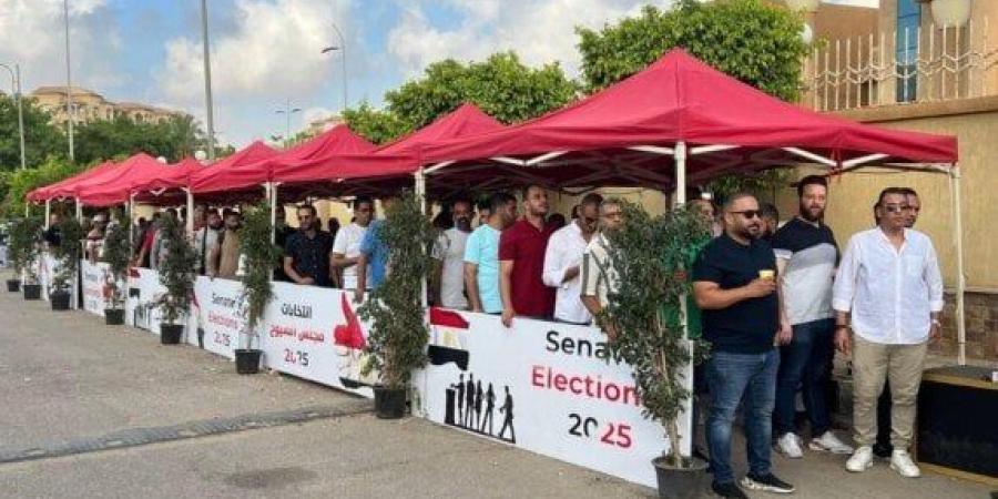 انتخابات الشيوخ 2025.. توافد الناخبين على مقار لجان التصويت في محافظة القاهرة (فيديو) - بلس 48