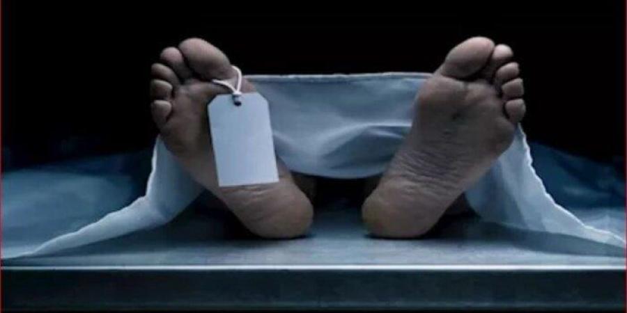 «جثة لقتيل بطلق خرطوش».. فريق أمني لكشف غموض الواقعة في الخانكة - بلس 48