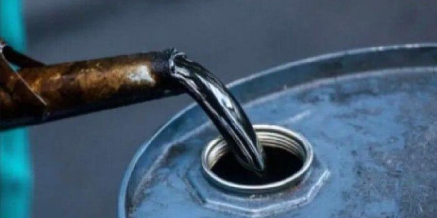 استقرار سعر النفط العالمي وتوقعات بهبوط محتمل نتيجة زيادة التدفقات من «أوبك+» - بلس 48