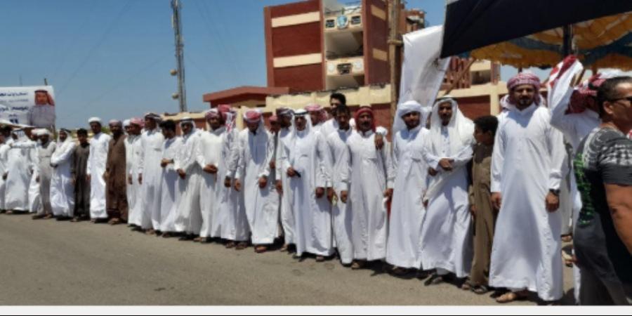توافد أهالى مدينة طور سيناء على اللجان للمشاركة فى انتخابات مجلس الشيوخ.. صور - بلس 48