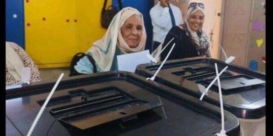 انتخابات مجلس الشيوخ 2025.. كبار السن يتحدون حرارة الجو بمصر الجديدة - بلس 48
