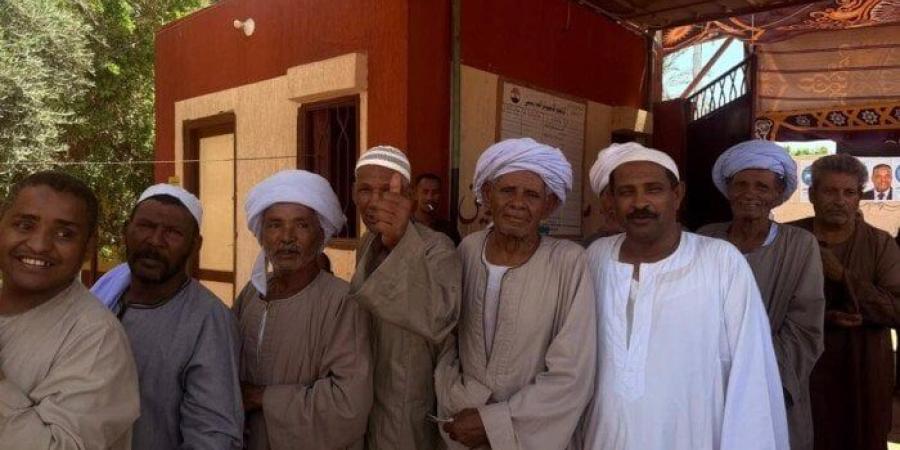 أهالي أسوان يتوافدون على لجان الاقتراع في ثاني أيام التصويت بانتخابات الشيوخ 2025 - بلس 48