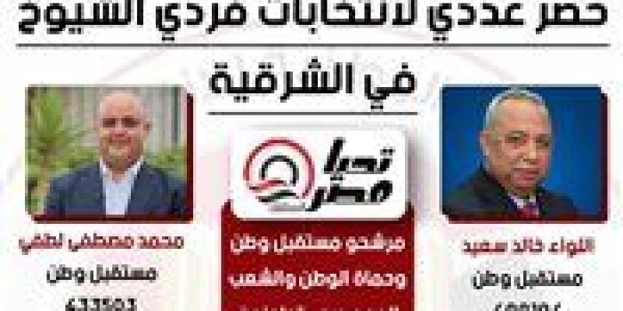 7 مرشحين يتجاوزون 50%+1 في انتخابات الشيوخ بالشرقية.. مستقبل وطن يتصدر المشهد ومعه حماة الوطن والشعب الجمهوري - بلس 48